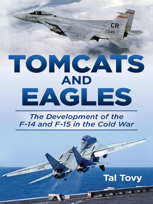 Tomcats and Eagles - ebook